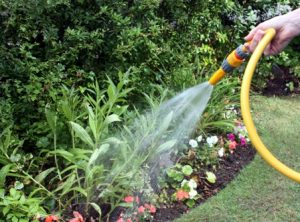 Garden watering hose resized