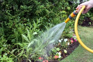 Gardening Services Sydney