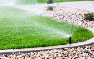 Irrigation Services by drgarden landscaping sydney australia