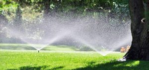 sprinkler system landscaping sydney