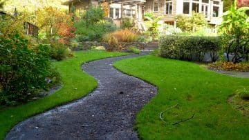 Landscaping Cost In Sydney