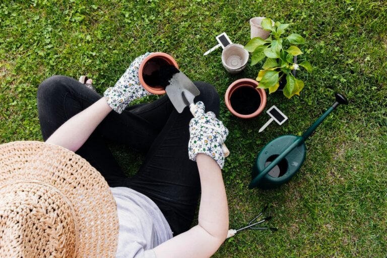 How Professional Garden Maintenance Services Work in Sydney