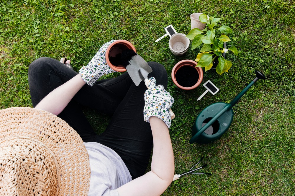 How Professional Garden Maintenance Services Work in Sydney