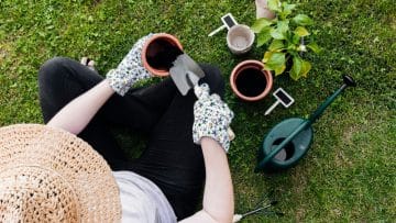 How Professional Garden Maintenance Services Work in Sydney