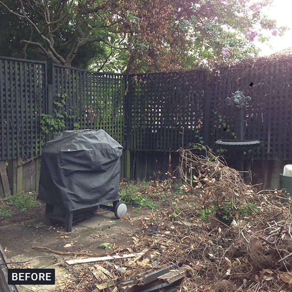 cloveley-before.png