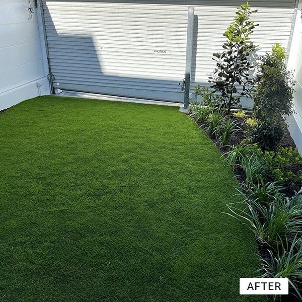 randwick-after.png