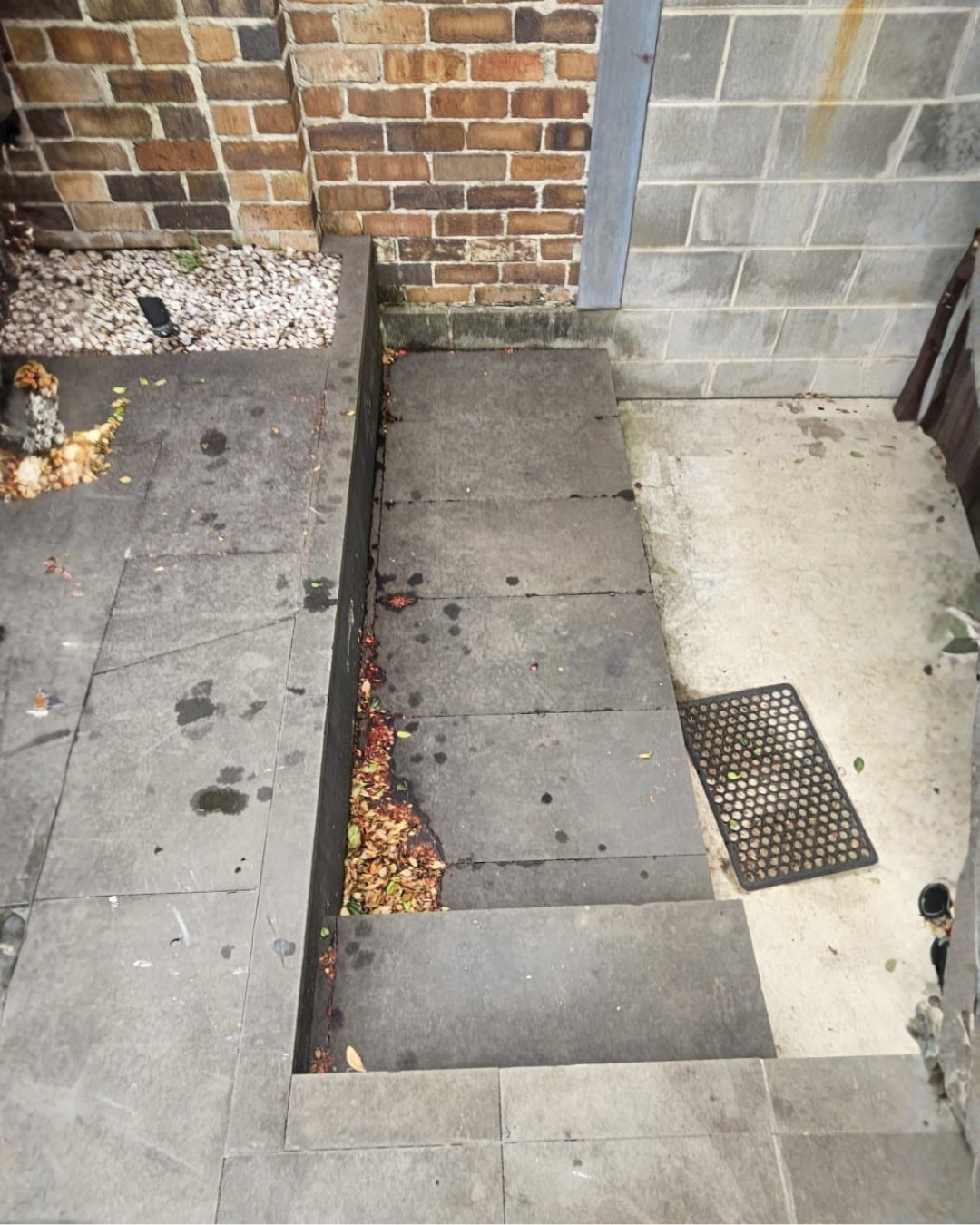 Erskineville Before 1