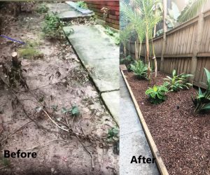 afterbefore-Side-Path-Bellevue-Hill-Website